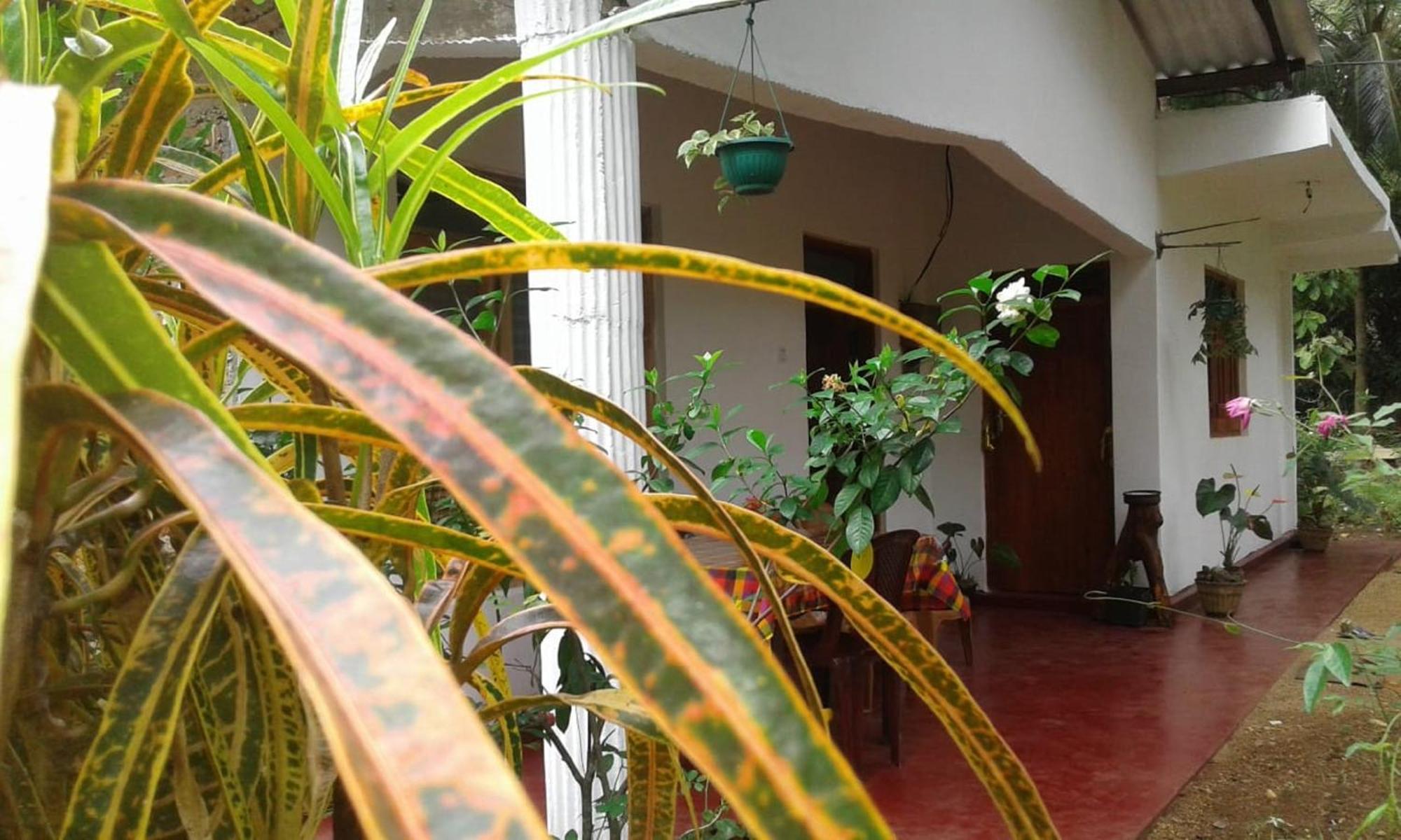 Winstar Homestay Sigiriya Exterior foto